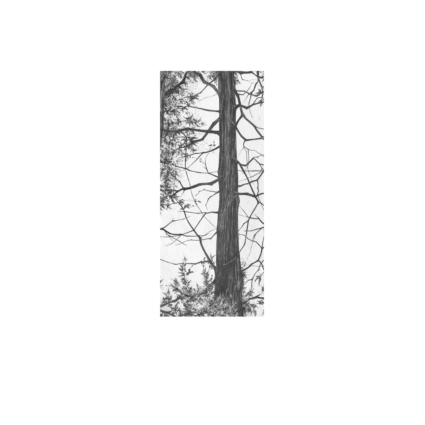 Fragments