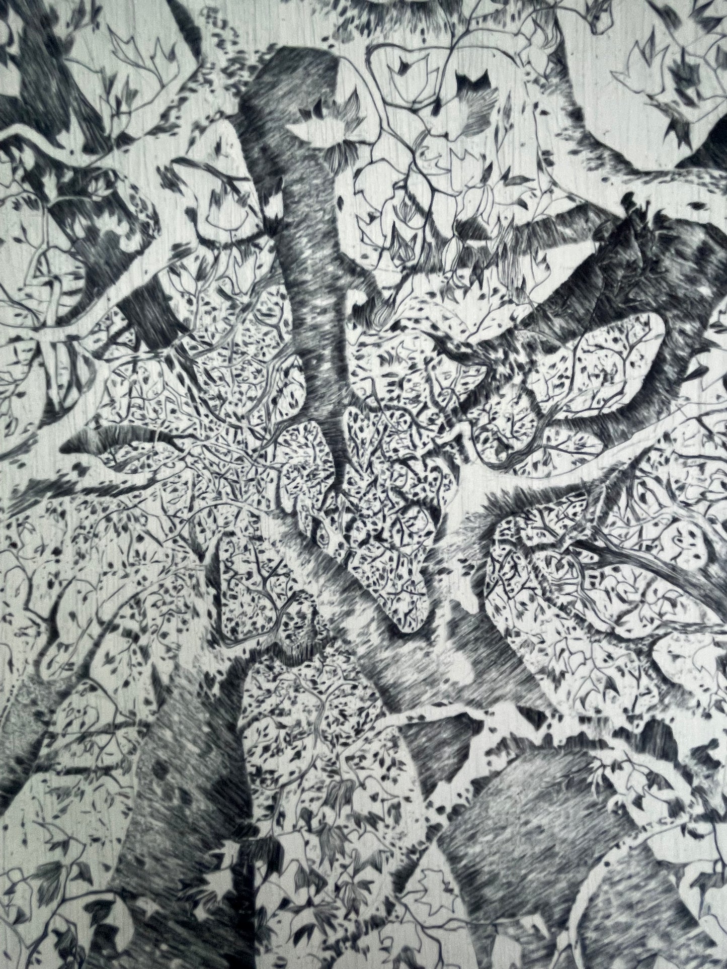 Sous les arbres