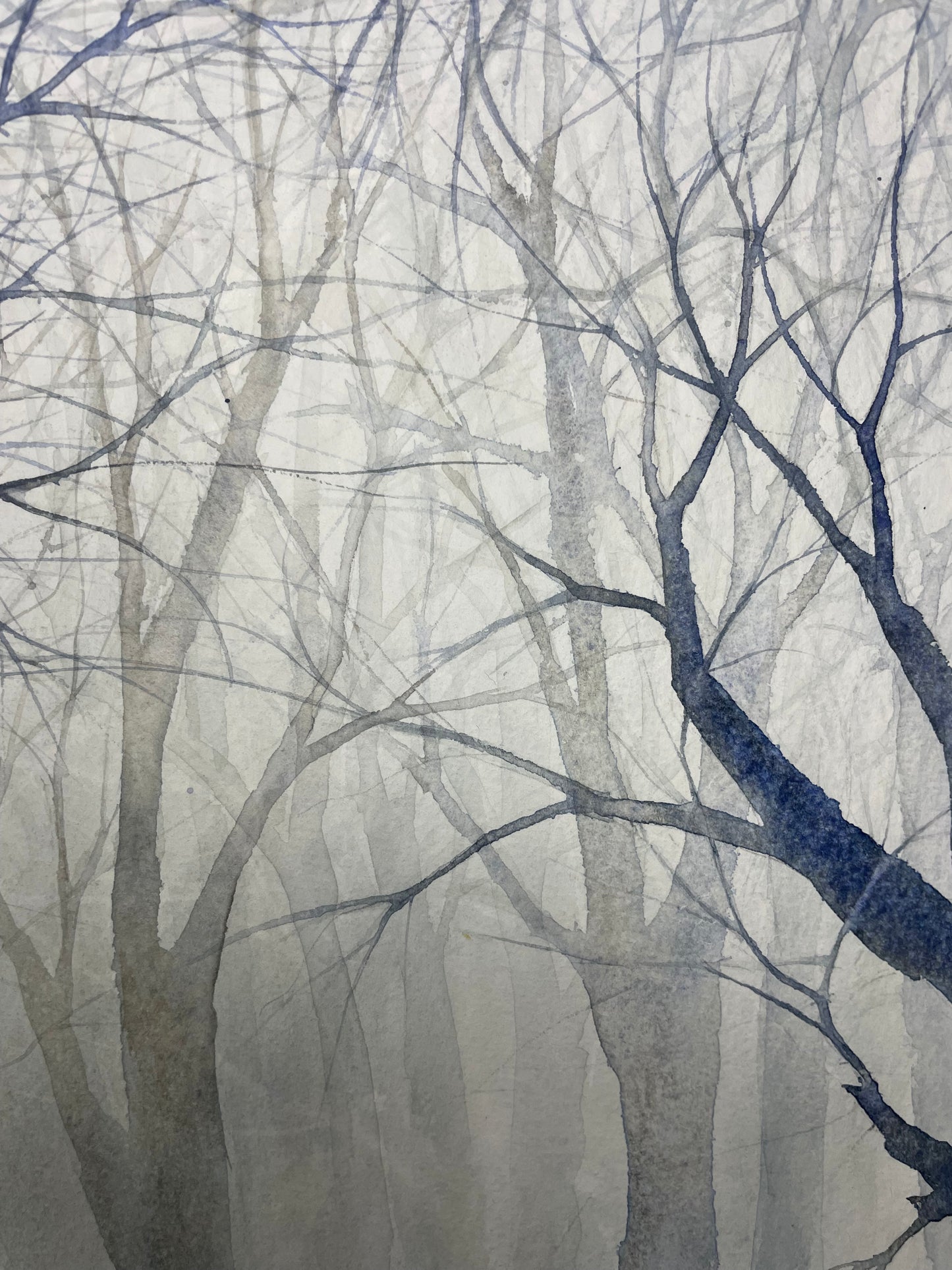 Les arbres dentelles
