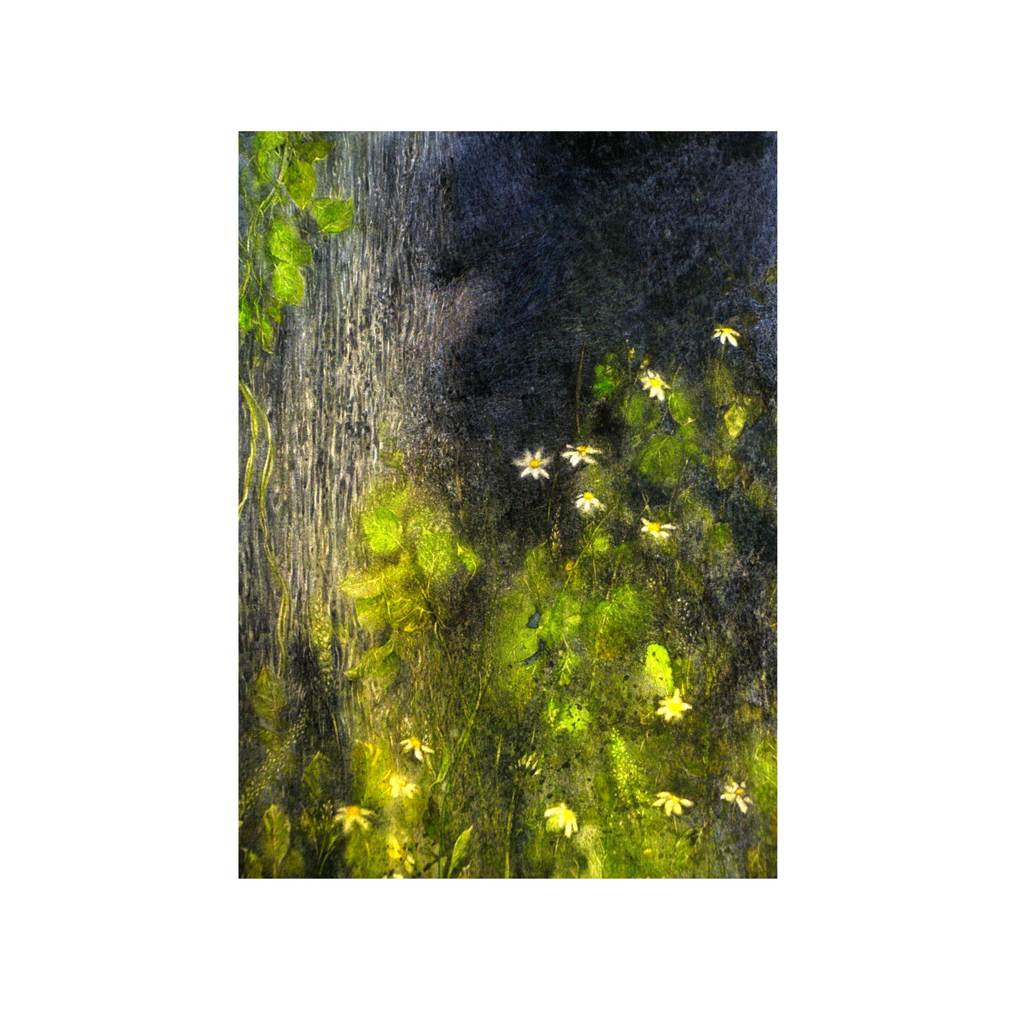 L'arbre écaillé