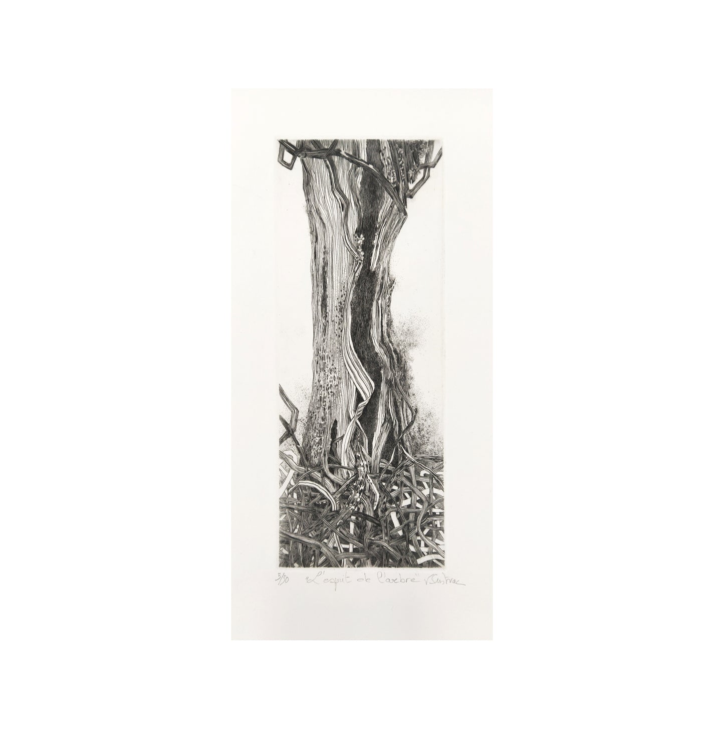 " L'esprit de L'arbre " - Gravure au burin originale - Véronique Sustrac