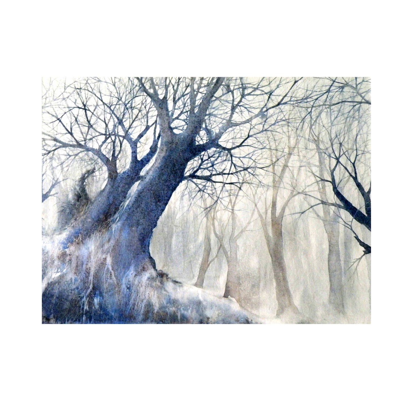 Les arbres dentelles