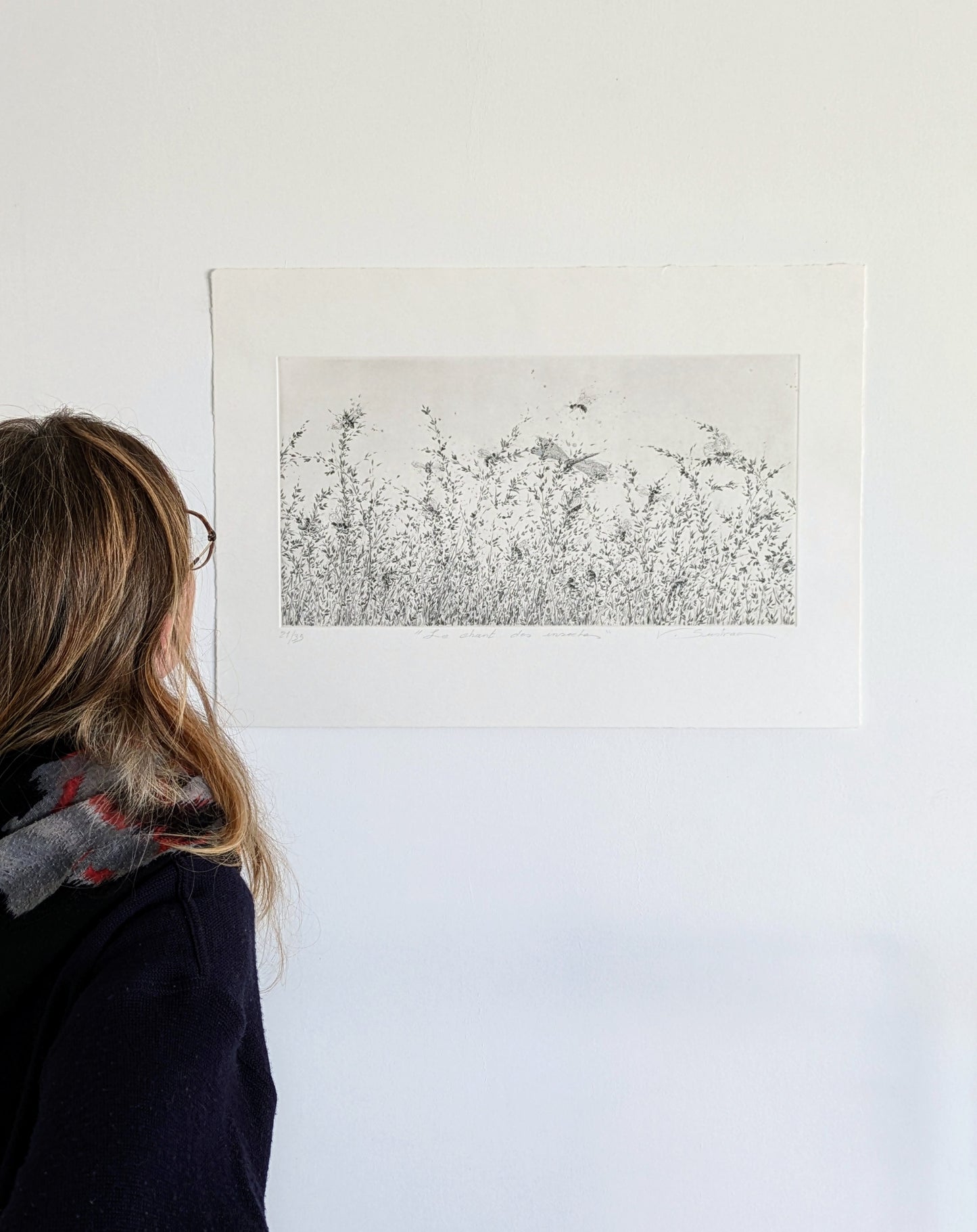 Le chant des insectes