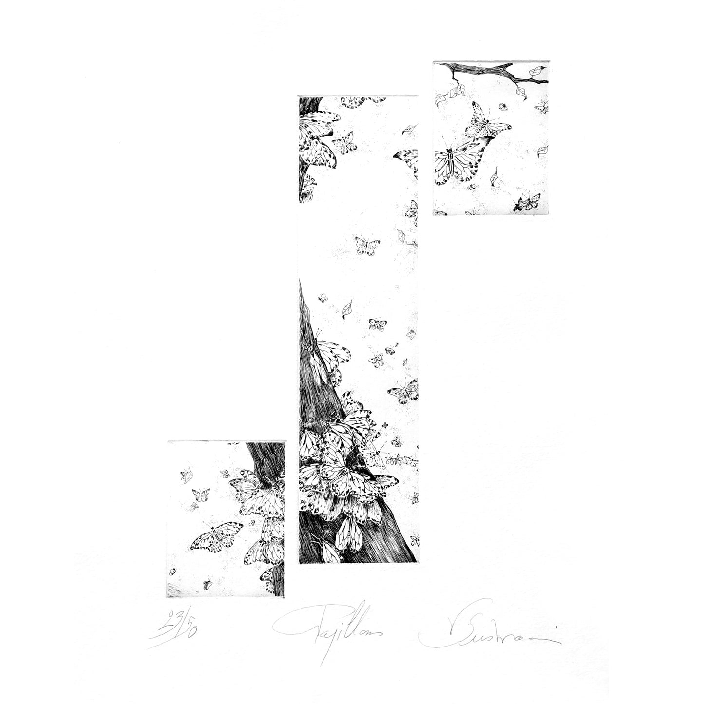 Papillons