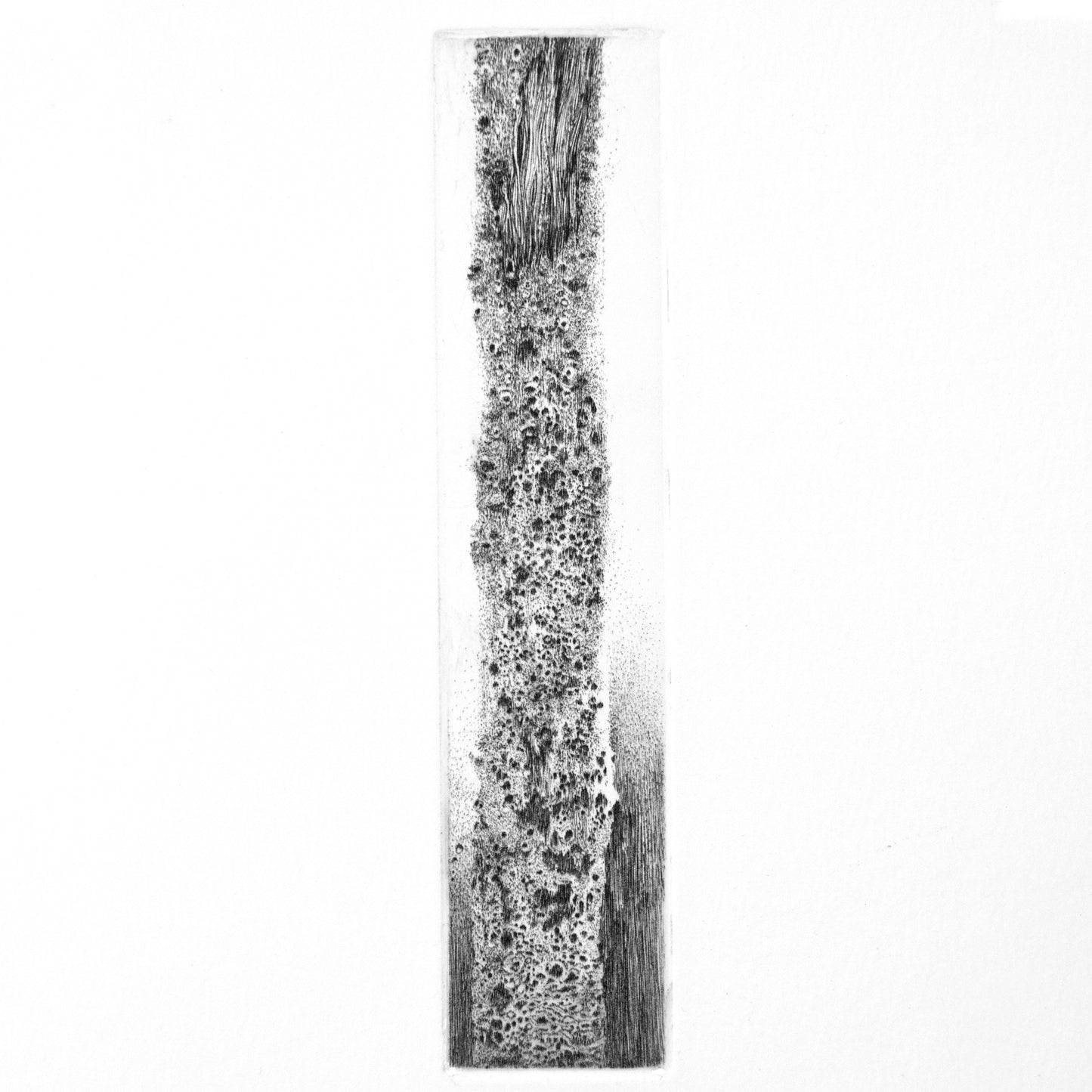 Totem