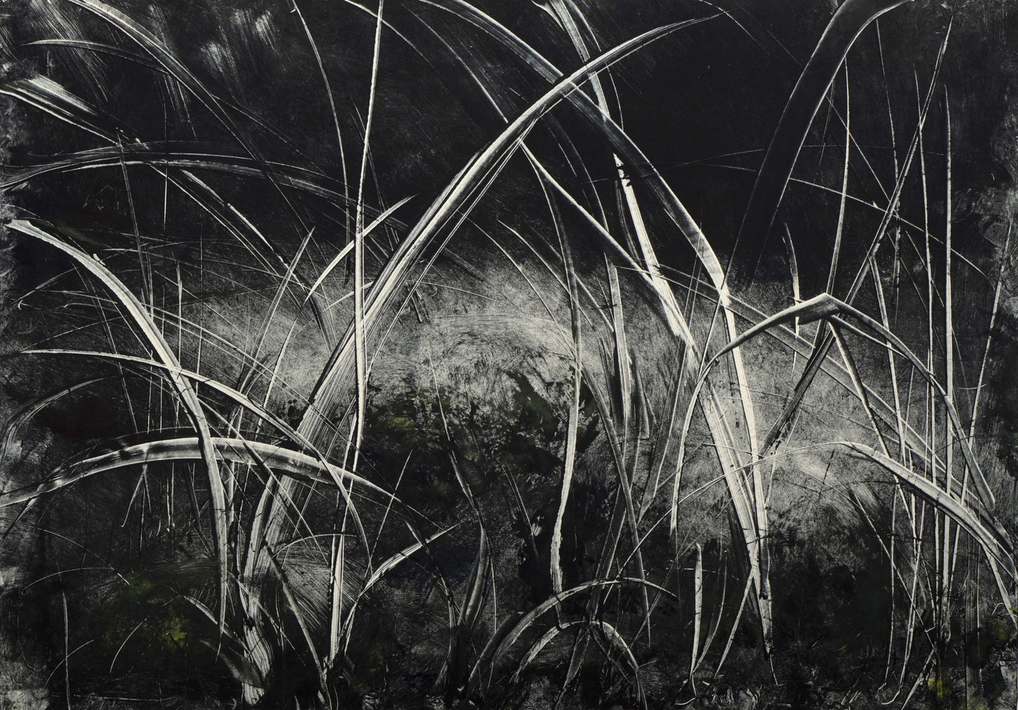 L'herbe se donne (2)