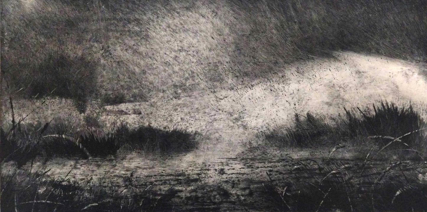 Dune