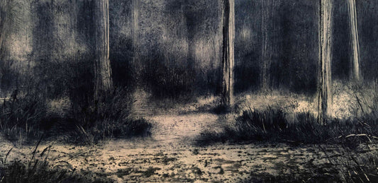 Entrons dans la forêt